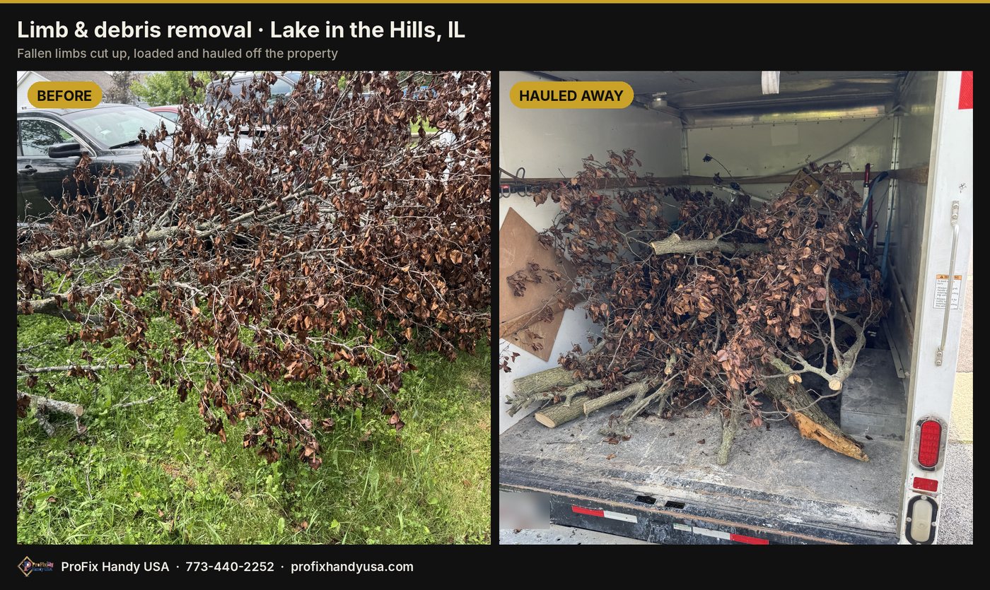 Limb & debris removal in Lake in the Hills, IL by ProFix Handy USA